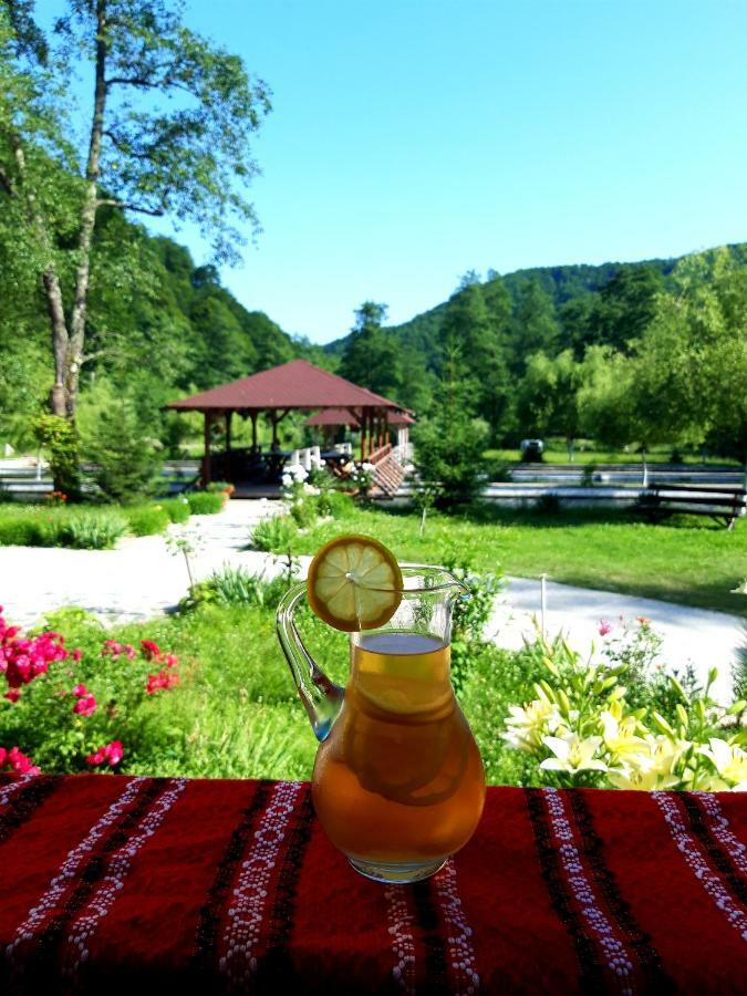 Pastravaria Cascada Rausor Hotel Berevoesti Exterior foto